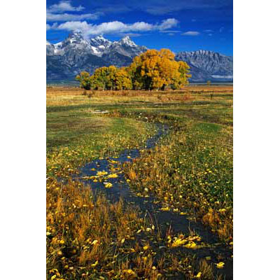 2118_Autumn Stream, Wyoming